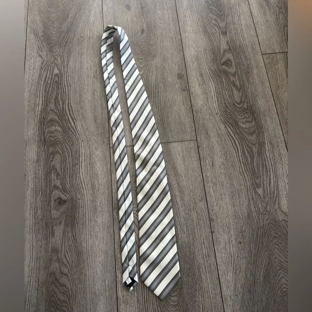 Lazzarette Elegant Striped Gray Tie